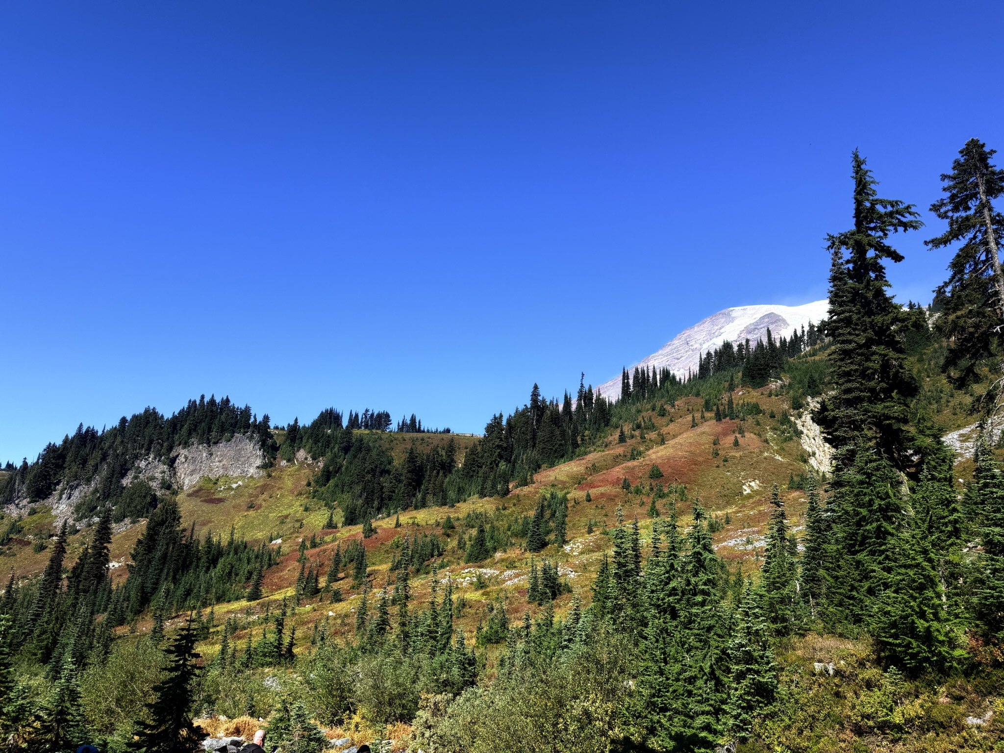 Skyline with Mount Rainier